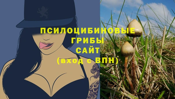 стаф Верхнеуральск