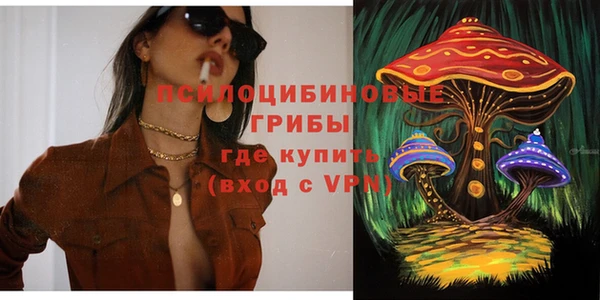ECSTASY Вяземский