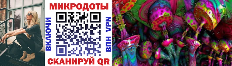 OMG как войти  Зеленоградск  Галлюциногенные грибы Magic Shrooms 